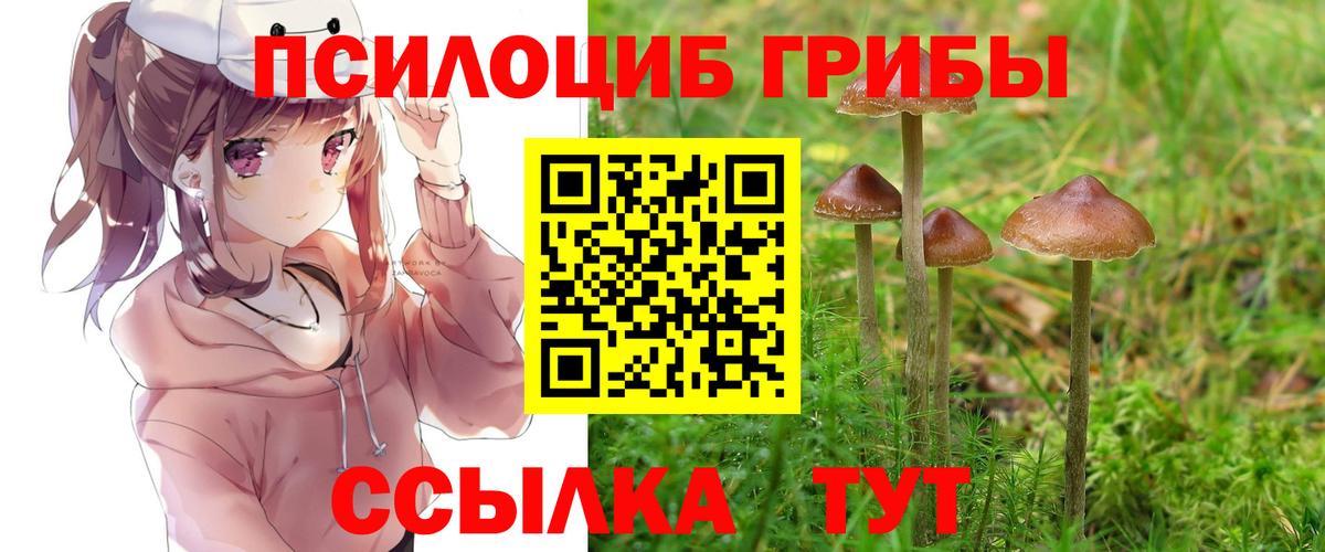 Псилоцибиновые грибы мицелий Новодвинск