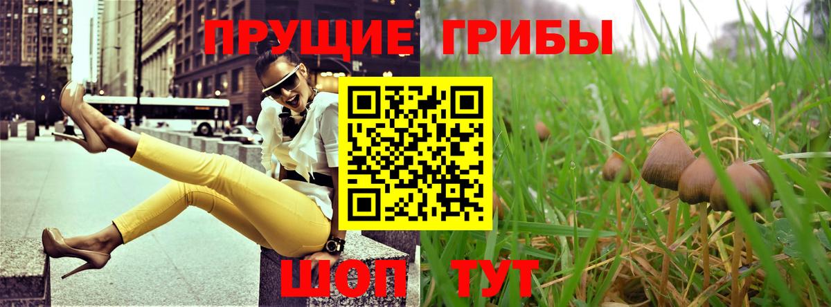 Галлюциногенные грибы Cubensis  Вход с VPN  Новодвинск 